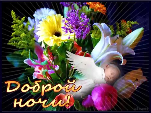 Спокойной ночи в цветах