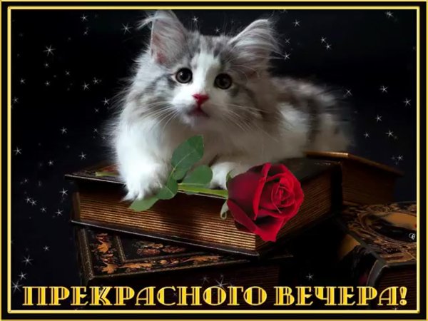Прекрасного вечера