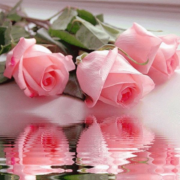 Алмазная мозаика gf 1932