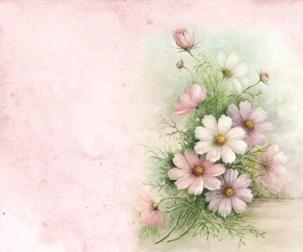 Соня Эймс картины