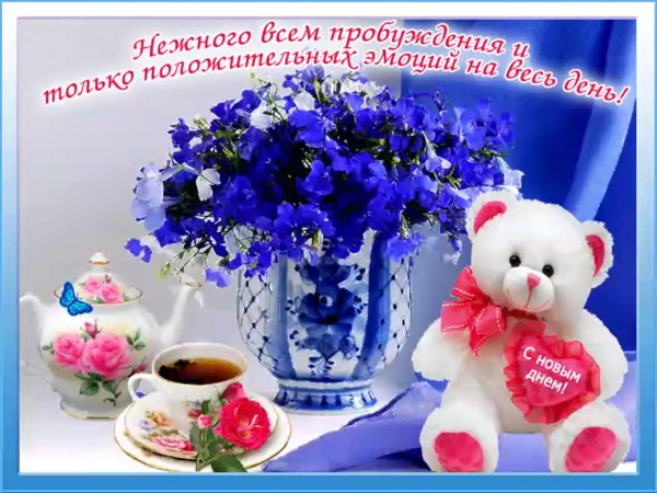 Красивое поздравление с новым днем