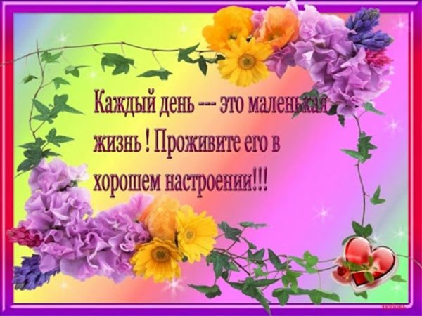 Добрые пожелания на каждый день короткие