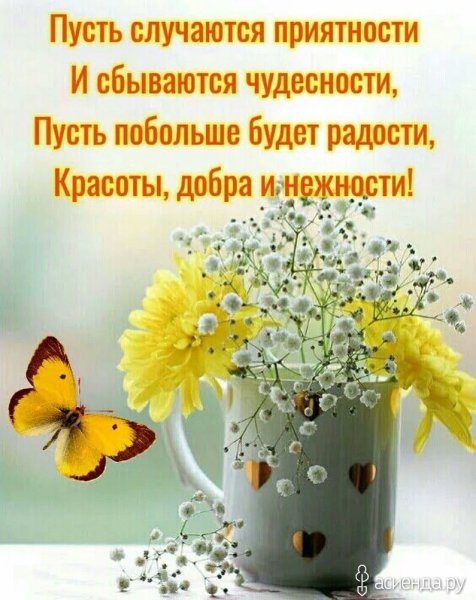 Будьте счастливы просто так потому что впереди новый день