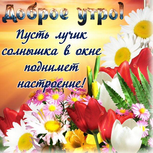 Позитивные пожелания с добрым утром