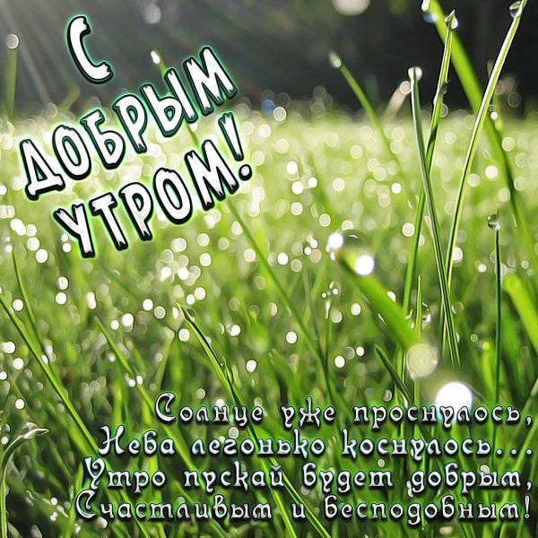 Пожелания с добрым утром мужчине