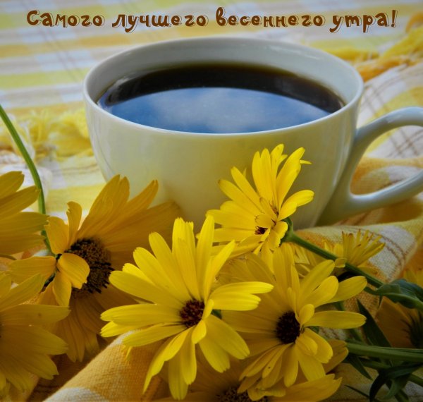 Доброе утро и отличного настроения