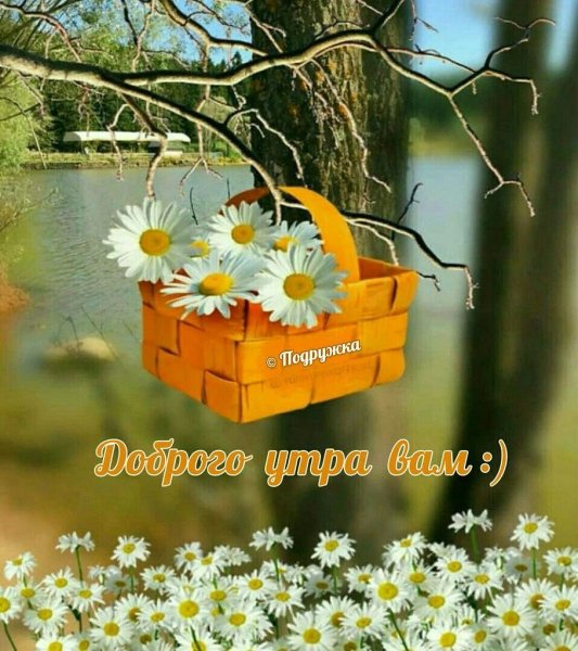 Доброе утро хорошего дня природа