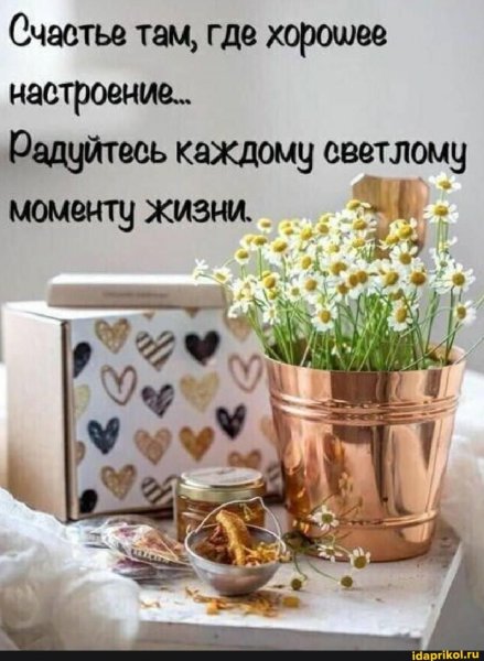 Доброе утро афоризмы