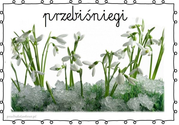 Подснежники картинки на рабочий стол