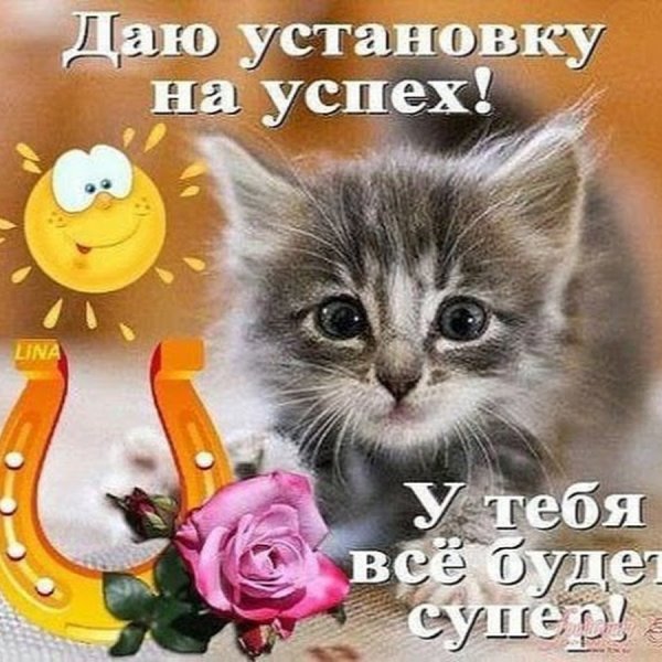 Пожелания удачи и успеха