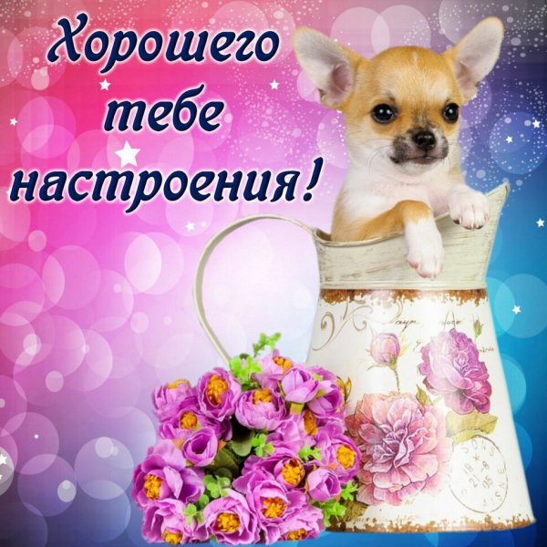 Открытка "хорошего настроения"