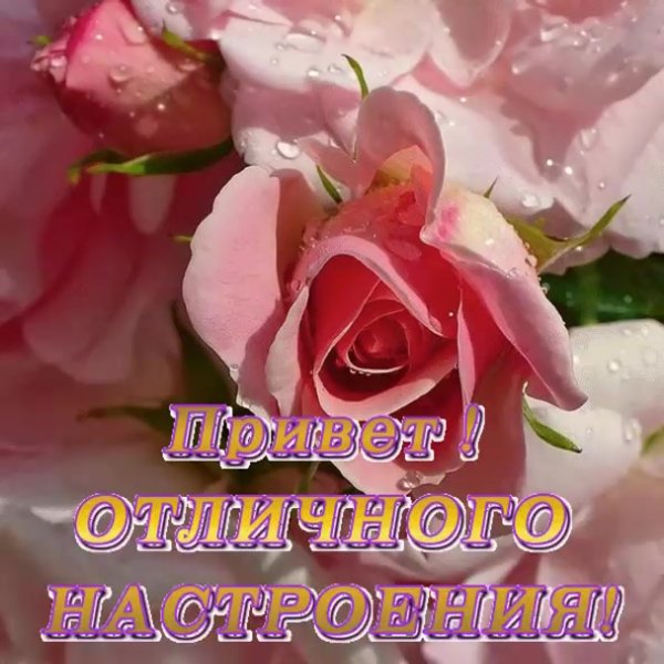 Хорошего настроения подруга