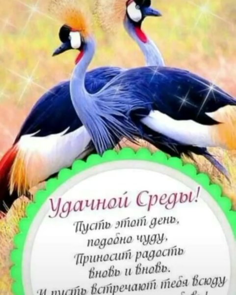 Поздравления со средой в картинках прикольные