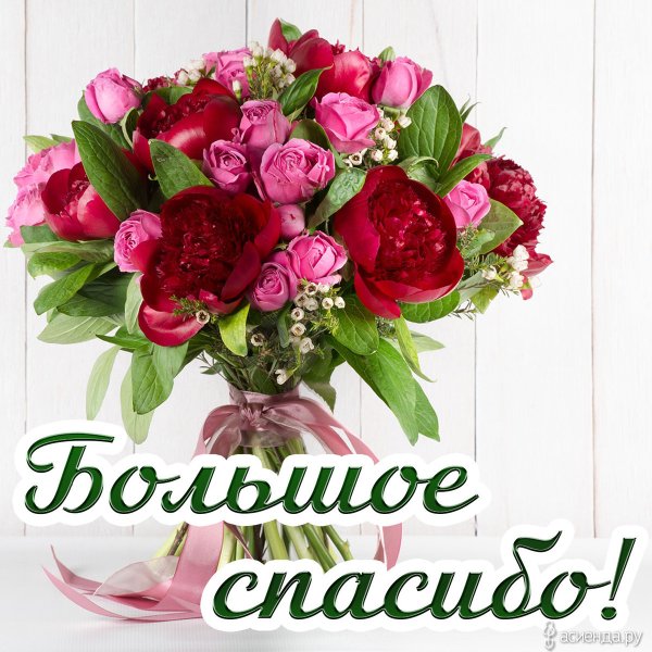 Букет с благодарностью картинки