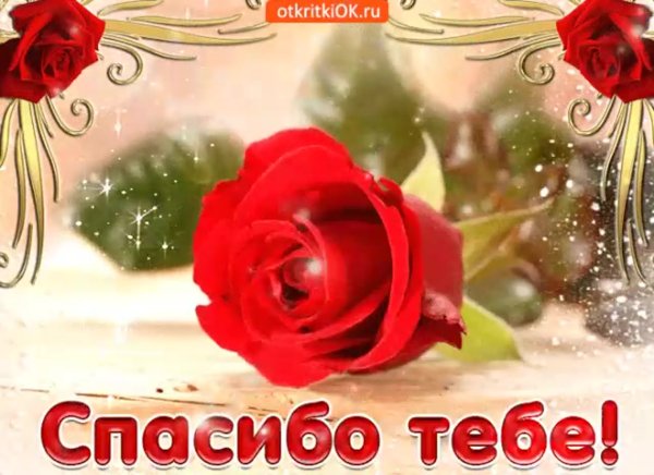 Поздравления с днём рождения саме