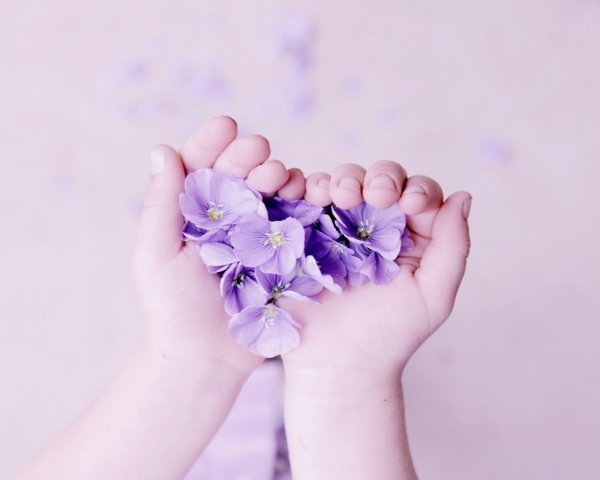 Шикарные розы с благодарностью