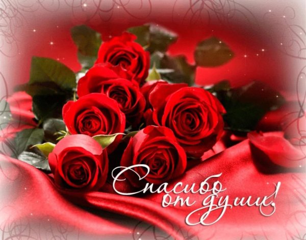 Открытка спасибо