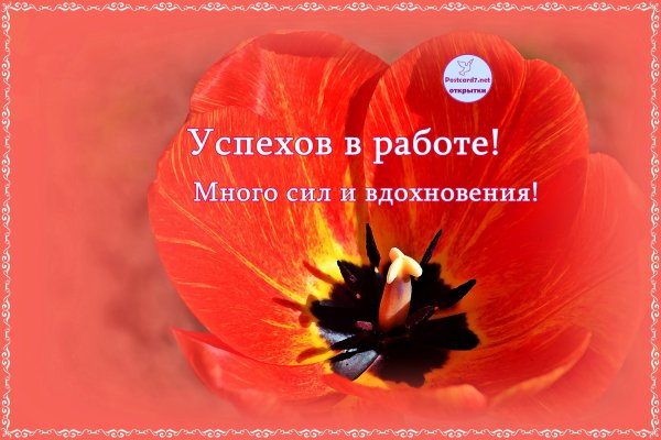 Успехов в работе пожелания