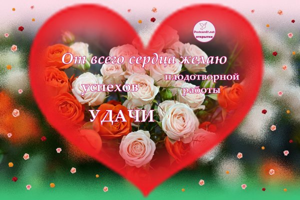Желаю плодотворной работы