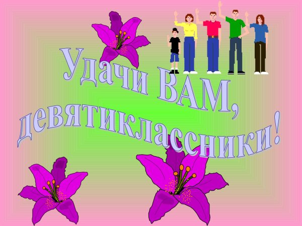 Удачи девятиклассники