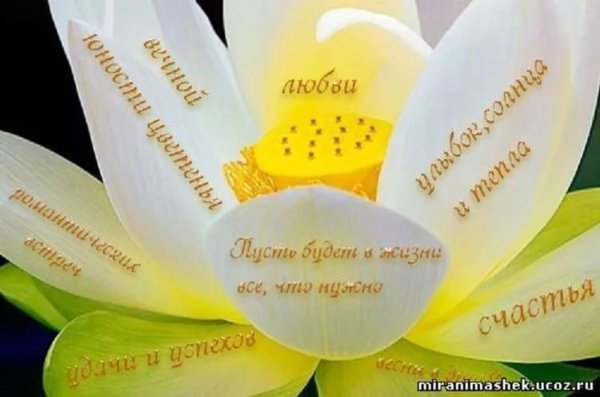 Пожелания радости жизни