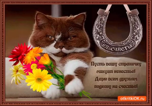 Открытка "другу!"