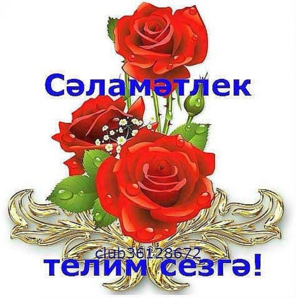 Туган кон поздравления