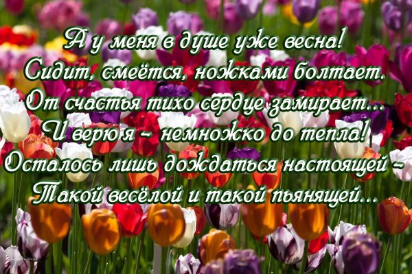 Весна в душе цитаты