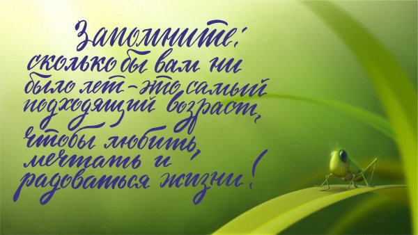 Позитивные пожелания на каждый