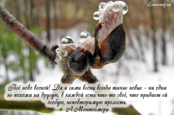 Цитаты про весну