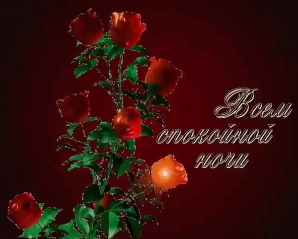 Добрый вечер, доброй ночи благословенной