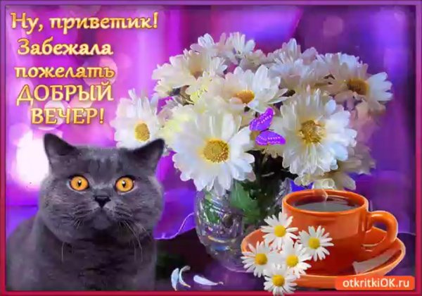 Поздравление с добрым вечером