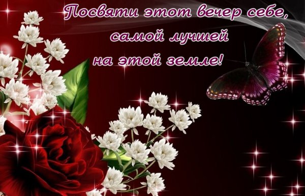 Добрый вечер красивые цветы