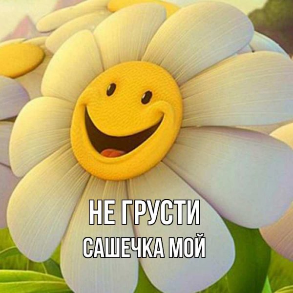 Ромашка улыбается