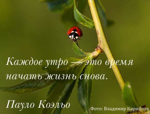 Доброе утро друзья