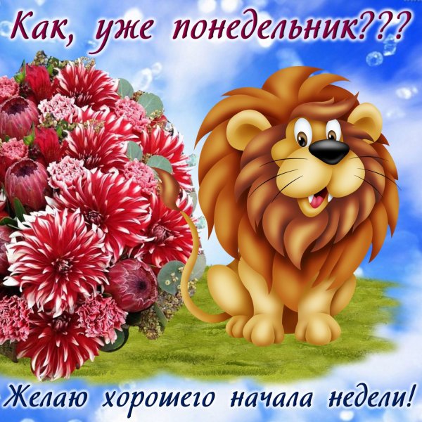 Открытки с понедел ником