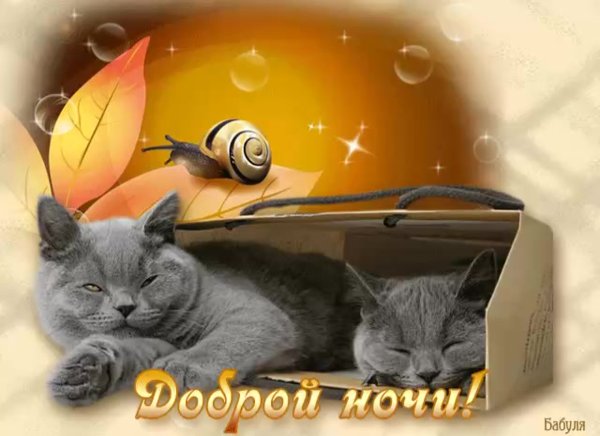 Сладких снов