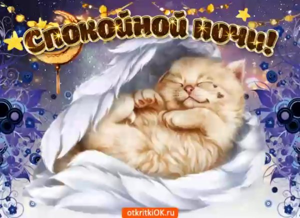 Красивые собаки и кошки
