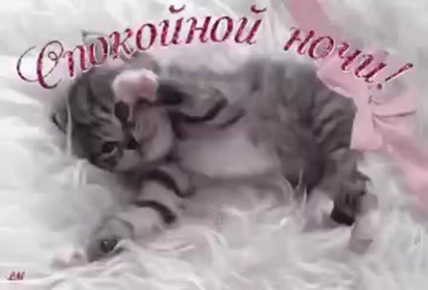 Открытки спокойной ночи