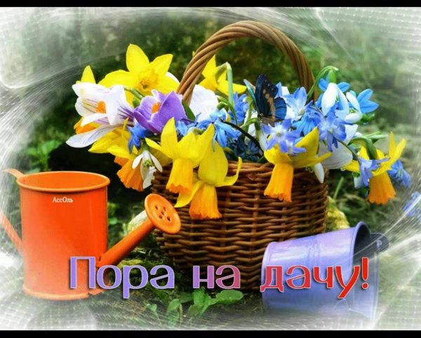 Открытки с началом дачного сезона