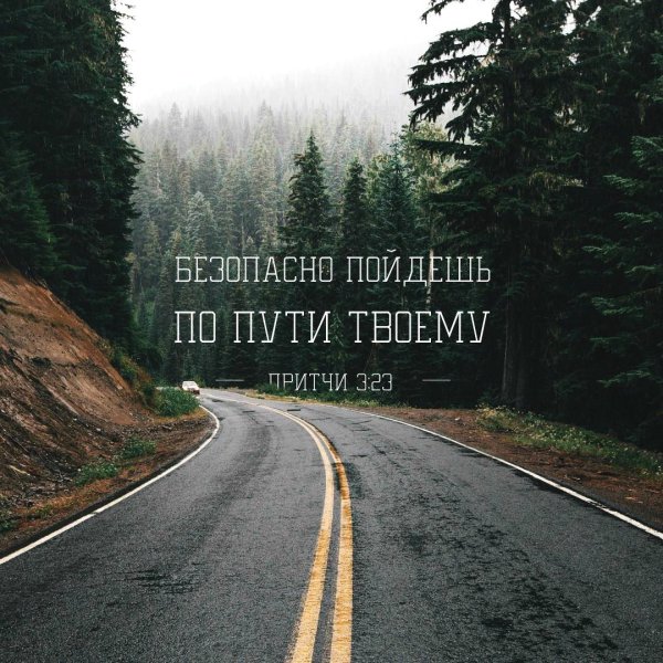 Эстетика дороги
