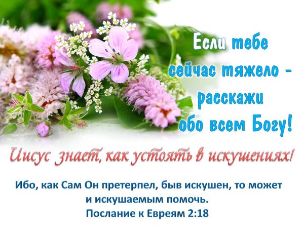 Стихи из Библии для ободрения