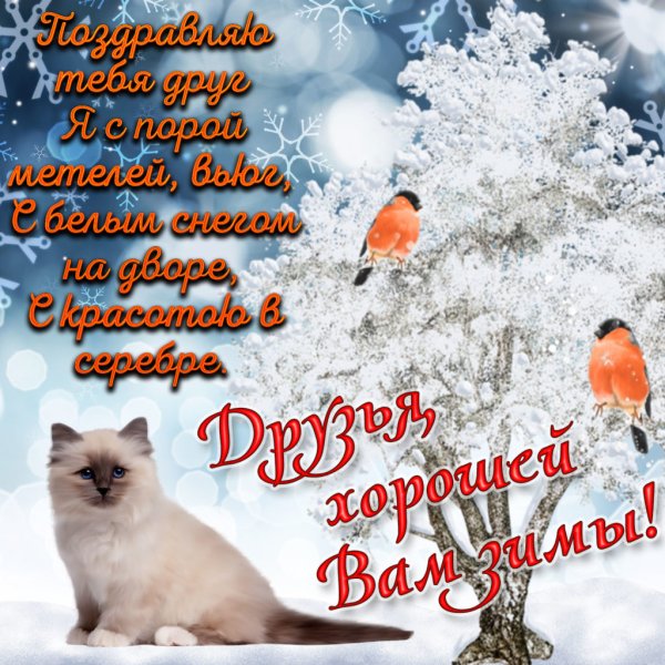 Зимние пожелания