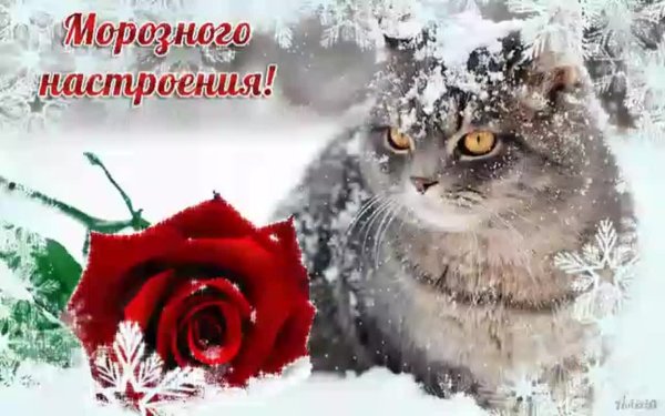 Отличного зимнего настроения