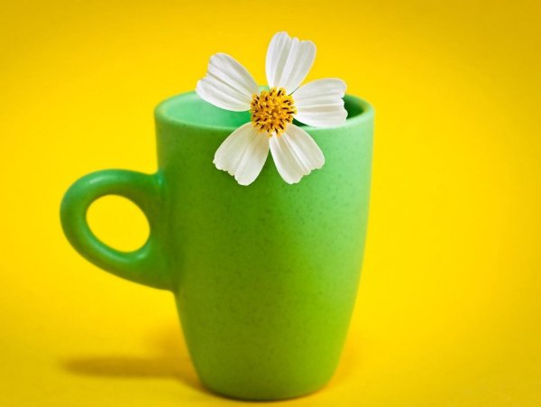 Удачного дня и отличного настроения