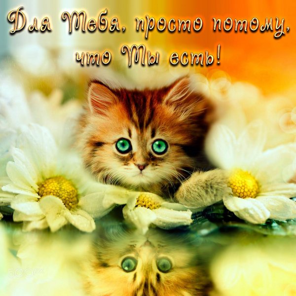 Открытки наскрждый день