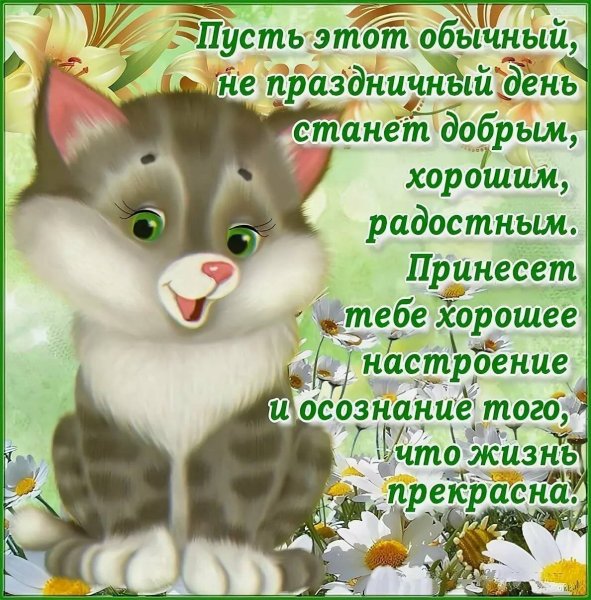 Пожелание хорошего дня в стихах