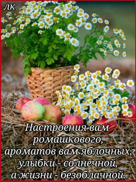 Корзина цветов «Весенняя»