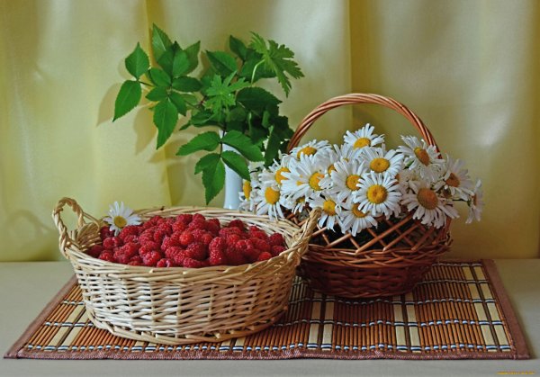 Угощайтесь ягоды и фрукты
