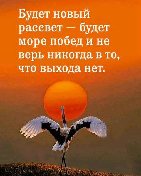 Цитаты про жизнь